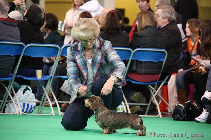 Crufts2011_2 1106.jpg